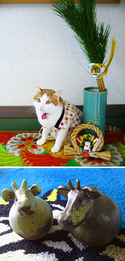 写真